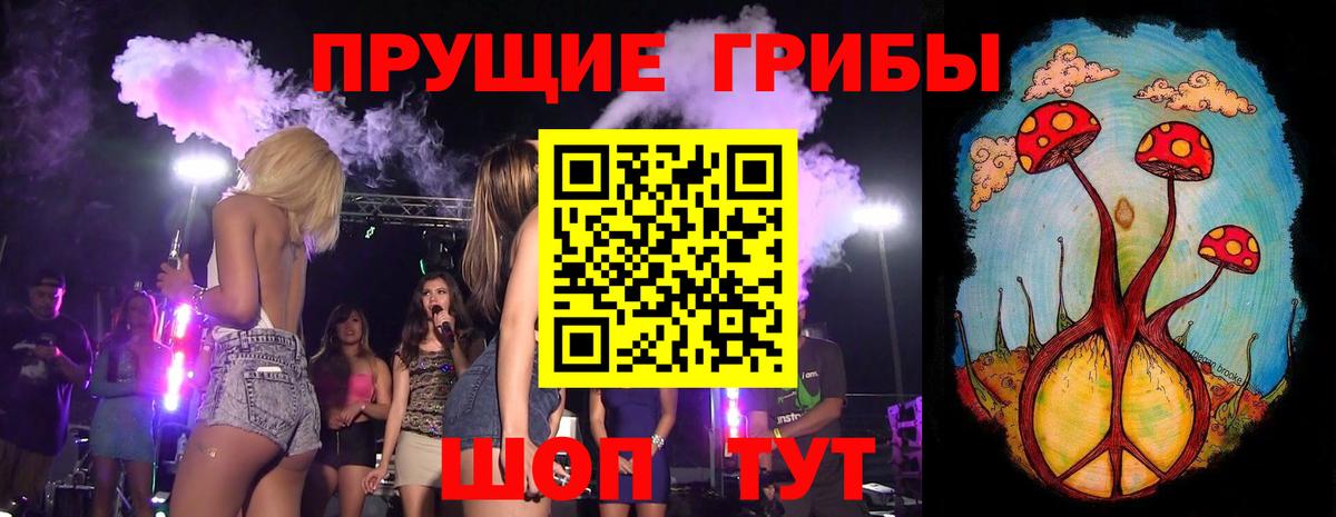 Псилоцибиновые грибы Cubensis  Вход с VPN  Острогожск 